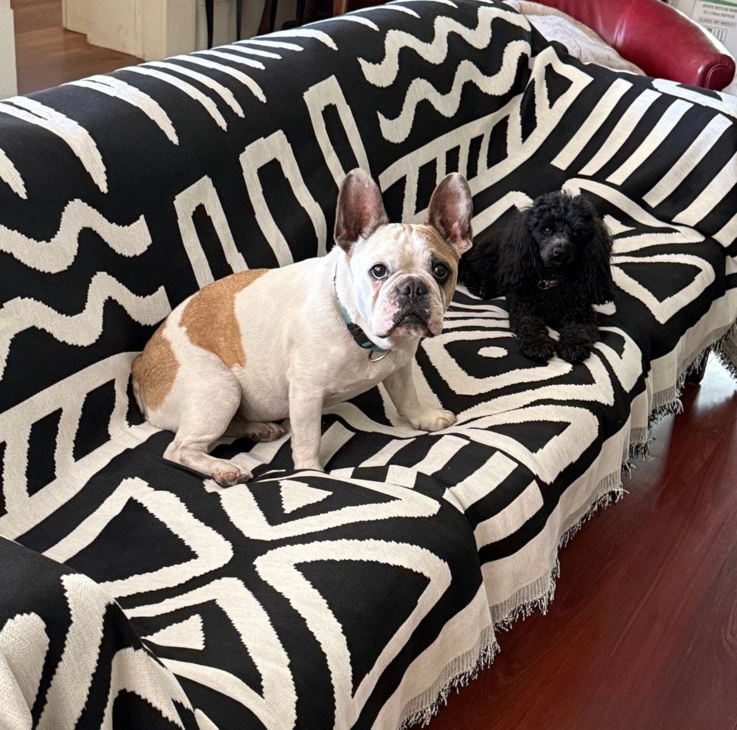 Sofakovers™ | The luxurious sofa cover that fits perfectly and enhances your living room! | +4 FREE Gifts